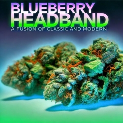 Blueberry Headband: Połączenie Klasyki z Nowoczesnością